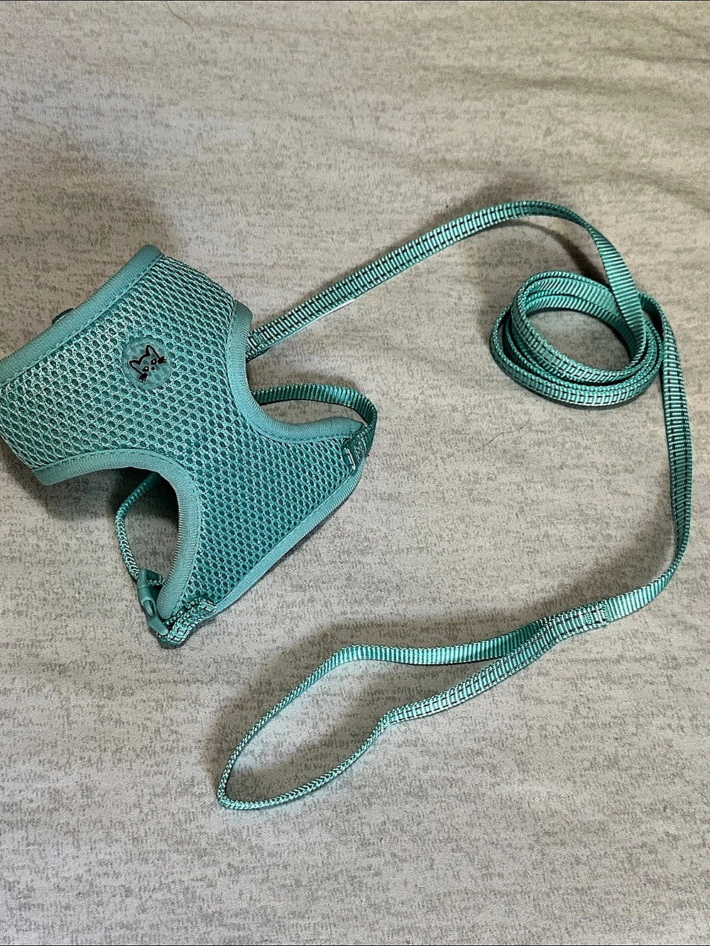 Mesh Cat Harness & Leash Set in Mint Green - Youly